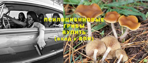 кокаин колумбия Пестово