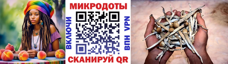 Псилоцибиновые грибы мухоморы  купить наркоту  Монино 